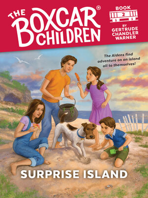 cover image of Surprise Island